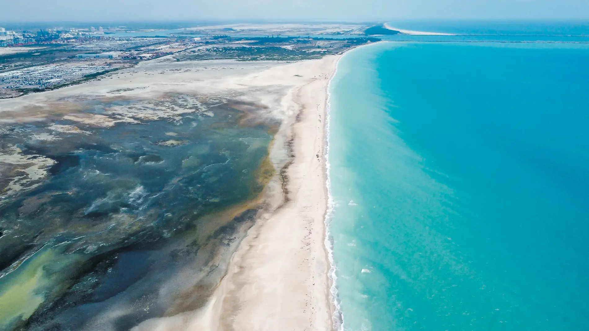 Existe el riesgo de que desaparezcan las marismas en Altamira